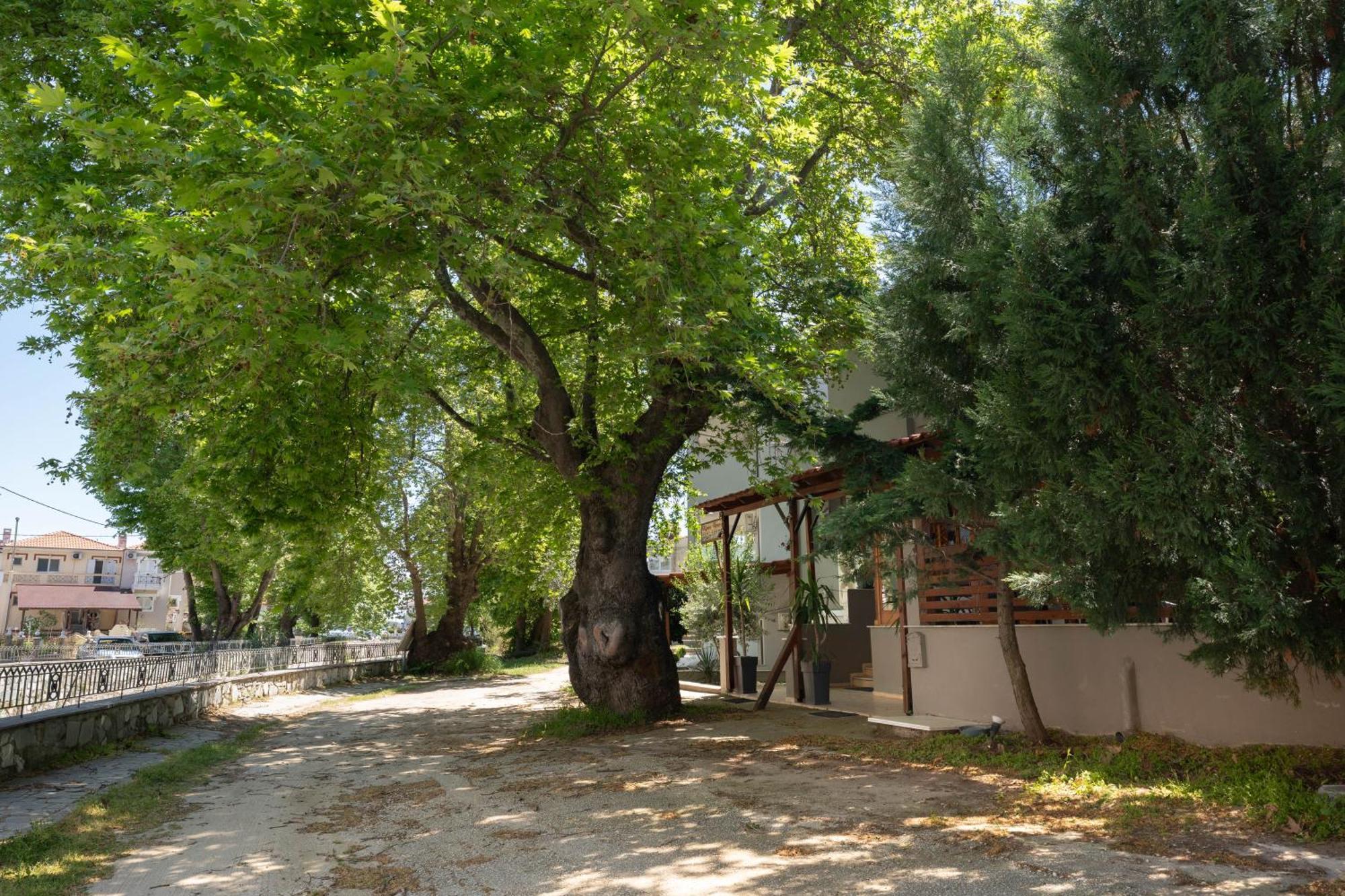 Kipos Resort Néa Péramos Buitenkant foto